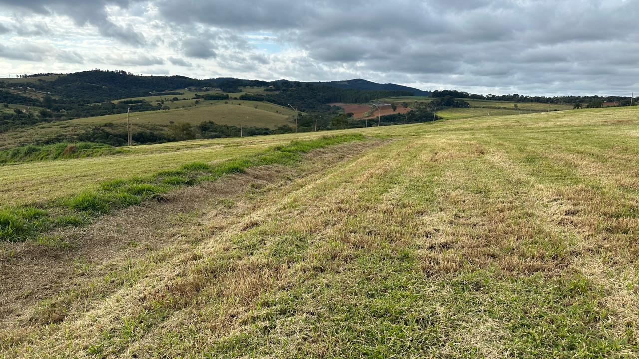 Vista panorâmica dos lotes do Residencial Ventura