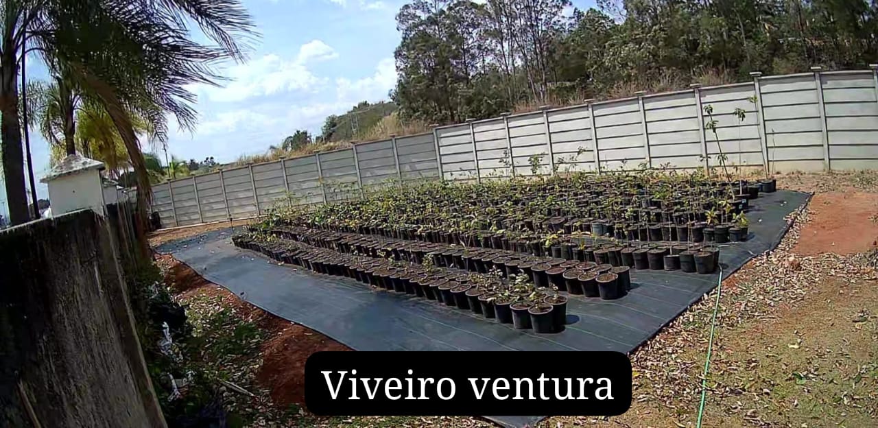 Viveiro de mudas do Residencial Ventura